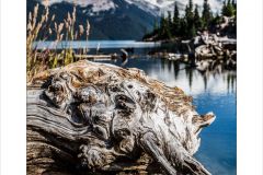 Garibaldi Lake